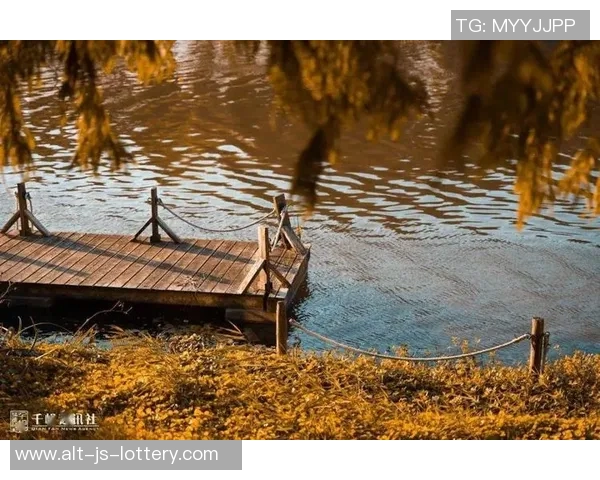 两连败，中华台北秋意浓！｜重新振作的背后，是无限的希望与探索的脚步